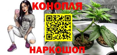 PSILOCYBIN Кумертау