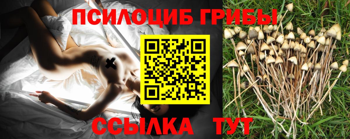 Галлюциногенные грибы Psilocybine cubensis  Галлюциногенные грибы GOLDEN TEACHER  Вход с VPN  Ялуторовск 