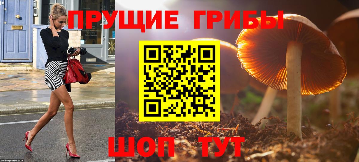 Псилоцибиновые грибы мицелий Ялуторовск